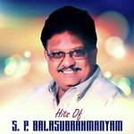 Mere Jeevan Saathi (From "Ek Duje Ke Liye") S.P. Balasubrahmanyam,Anuradha Paudwal Song Download Mp3