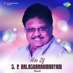 Neerabittu Nelada Mele (From "Hombisilu") S. P. Balasubrahmanyam Song Download Mp3