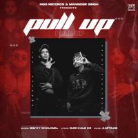 Pull Up Savvy Dhaliwal Song Download Mp3