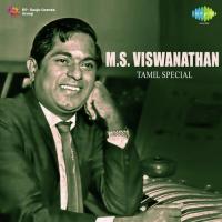 Vetri Meethu Vetri Vandhu (From "Thedi Vandha Maappillai") S.P. Balasubrahmanyam Song Download Mp3