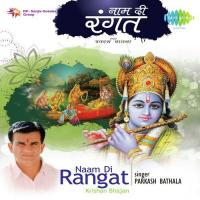 Mainu Naam Di Rangat Chari Parkash Bathala Song Download Mp3