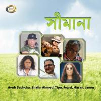 Chaina Ami Tumi Hina A Jibon Shafin Ahmed Song Download Mp3