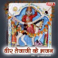 Teja Aavo Ji Surajmal Bharti Song Download Mp3