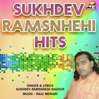 Sitaram Sitaram Bol Re Suvatiya Sukhdev Ramsnhehi Nagour Song Download Mp3