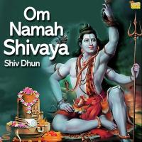 Om Namah Shivaye Jagjit Singh,Soniya Song Download Mp3