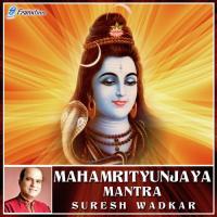 Mahamrityunjaya Mantra Suresh Wadkar Song Download Mp3