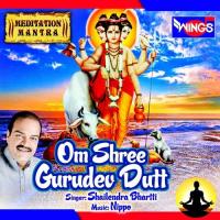 Om Shree Gurudev Dutt Shailendra Bhartti Song Download Mp3