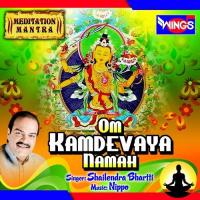 Om Kamdevaya Namha Shailendra Bhartti Song Download Mp3