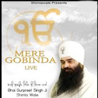 Mere Gobinda Bhai Gurpreet Singh Ji Shimla Wale Song Download Mp3