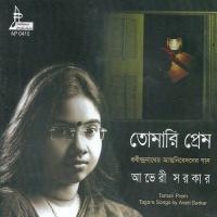 Sakhi Bhabana Kahare Bole-Averi Averi Sarkar Song Download Mp3