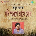 Jare Haat Diye Mala Diye Paro Nai Anup Ghoshal Song Download Mp3