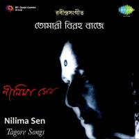 Hridaya Basana Purna Holo Nilima Sen Song Download Mp3