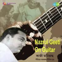 Shukno Patar Nupur - Instrumental Kazi Aniruddha Song Download Mp3