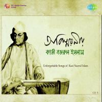 More Bhalobasay Bhuliyo Na Sudha Mukherjee Song Download Mp3