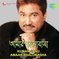 Kato Na Asare Kato Raat Dhare Kumar Sanu Song Download Mp3