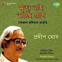 Bidrohi - Recitation Kazi Sabyasachi Song Download Mp3