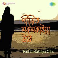 Oi Kasher Phooler Swapna Chakraborty Song Download Mp3