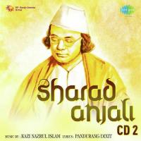 Shiuli Phuler Mala Dole Adhir Bagchi Song Download Mp3