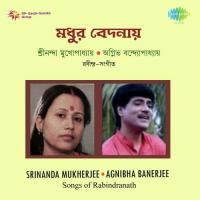 Biday Korechho Jare Nayanjale Agnibha Banerjee Song Download Mp3