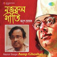 Danrale Duare Mor Anup Ghoshal Song Download Mp3