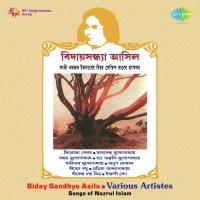 Ami Chirotare Dure Chole Jabo Satinath Mukherjee Song Download Mp3