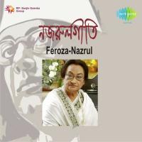 Sakarun Nayne Chaho Firoza Begum Song Download Mp3