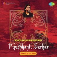 Ek Din Jara Merechhilo Pijushkanti Sarkar Song Download Mp3