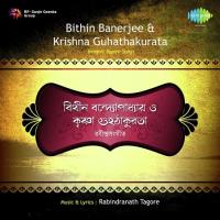 Anmana Anmana Bithin Banerjee Song Download Mp3