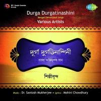 Stotra Stab - Stang Swaha Atanu Sanyal,Ruby Gupta Song Download Mp3