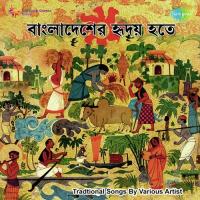 Ora Duti Pakhir Moto Manabendra Mukherjee Song Download Mp3