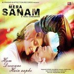 Hum Deewane Hain Aapke Altaaf Sayyed Song Download Mp3