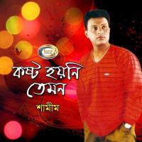 Crazy Meye Shamim Song Download Mp3