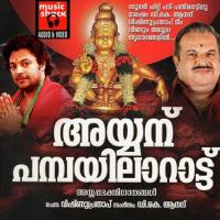 Erumeli Sasthaavin Khalid Song Download Mp3