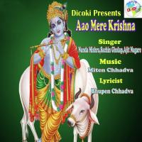 Aao Mere Krishna Ajit Nagare Song Download Mp3