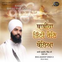 Tere Bharosey Pyare Bhai Jagdeep Singh Ji Song Download Mp3