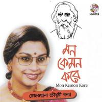 Ektuku Chowa Lage Rezwana Chowdhury Bonna Song Download Mp3