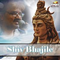 Sadhu Tero Sangdo Kaushik Bhojak Song Download Mp3