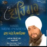 Mera Man Laga Tohe Bhai Zora Singh Song Download Mp3