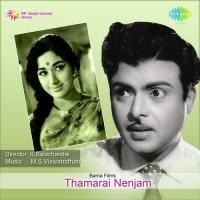 Adi Podi P. Susheela,L.R. Eswari Song Download Mp3