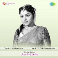 Akka Nee Poloru V. Dakshinamoorthy,Punitha Song Download Mp3