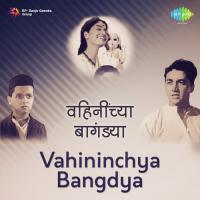 Tu Nastis Tar Sudhir Phadke Song Download Mp3