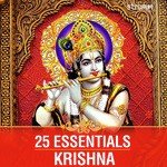 Hare Krishna Mahamantra - Fusion Mix Sonu Nigam Song Download Mp3