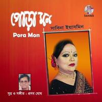 Dristi Amar Hoilo Sabina Yasmin Song Download Mp3