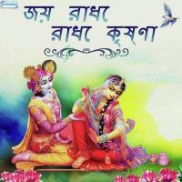 Hey Krishna Karuna Sindhu (From "Aalo Chhaya") Srikanto Acharya,Rai Song Download Mp3