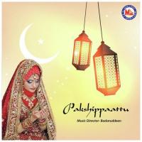 Onnippankittu Minmini,Ibrahim,Rahim,Nilambur Shaji Song Download Mp3