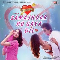 In Dino Banjara Hoke Dil Aawara Altaaf Sayyed Song Download Mp3