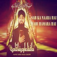 Arabi Sajan Hafiz Abid Raza Qadri Song Download Mp3