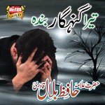 Tera Gunahgar Banda Hazrat Allama Hafiz Bilal Qadri Song Download Mp3