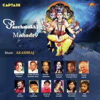 Omkar Swarup Suresh Wadkar Song Download Mp3