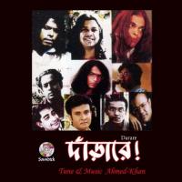 Nipat Shukhi Horbola Polash Song Download Mp3